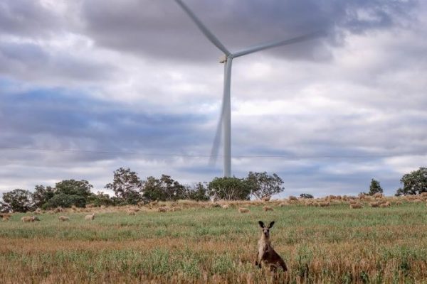 Wind Farm EnergyCO