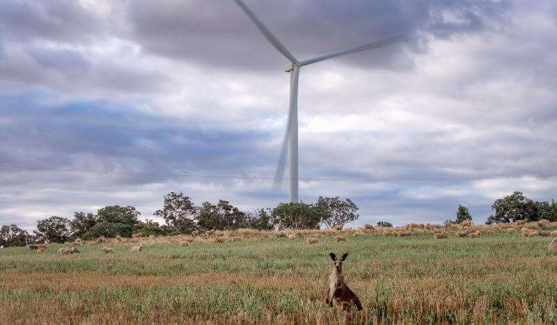 Wind Farm EnergyCO